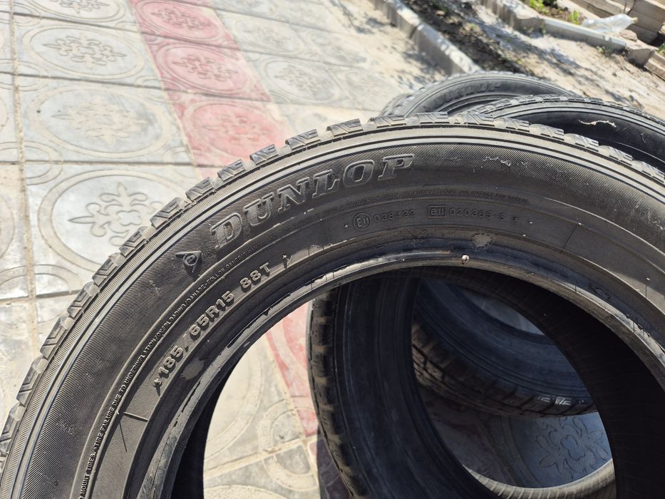 Шины зимние Dunlop