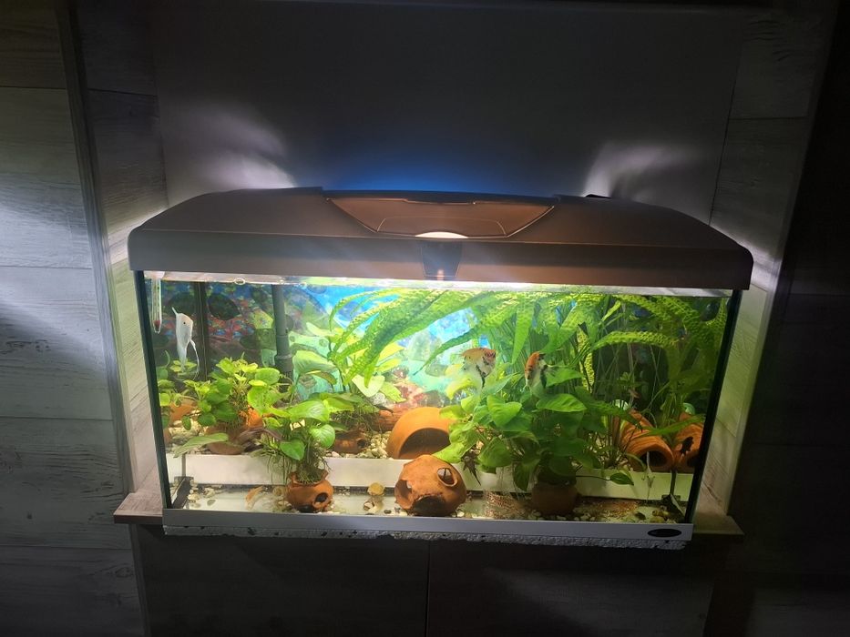 Продавам два  Аквариума