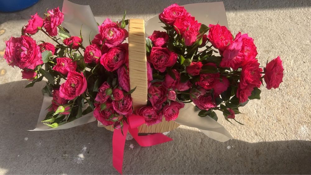 Цветы Шымкент казыр келды