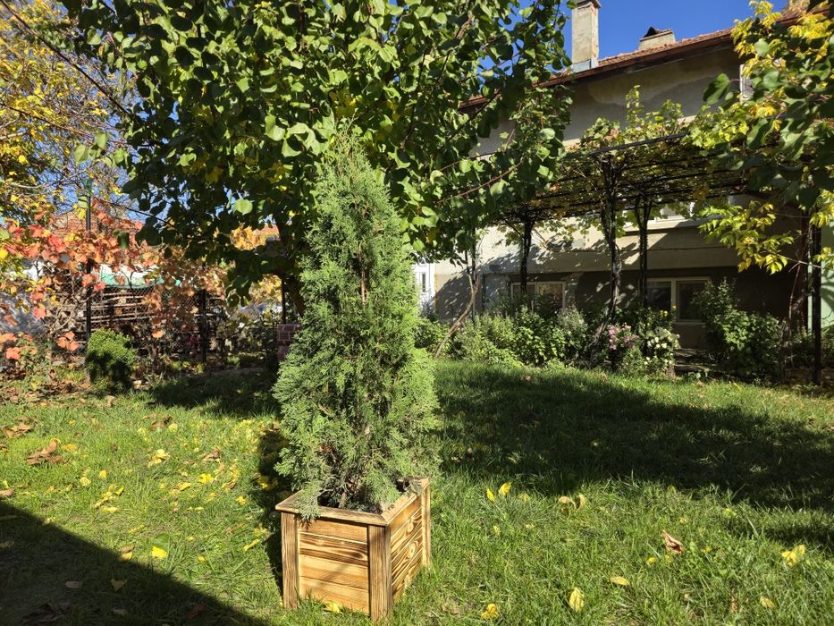 Дървени кашпи, декоративни саксии