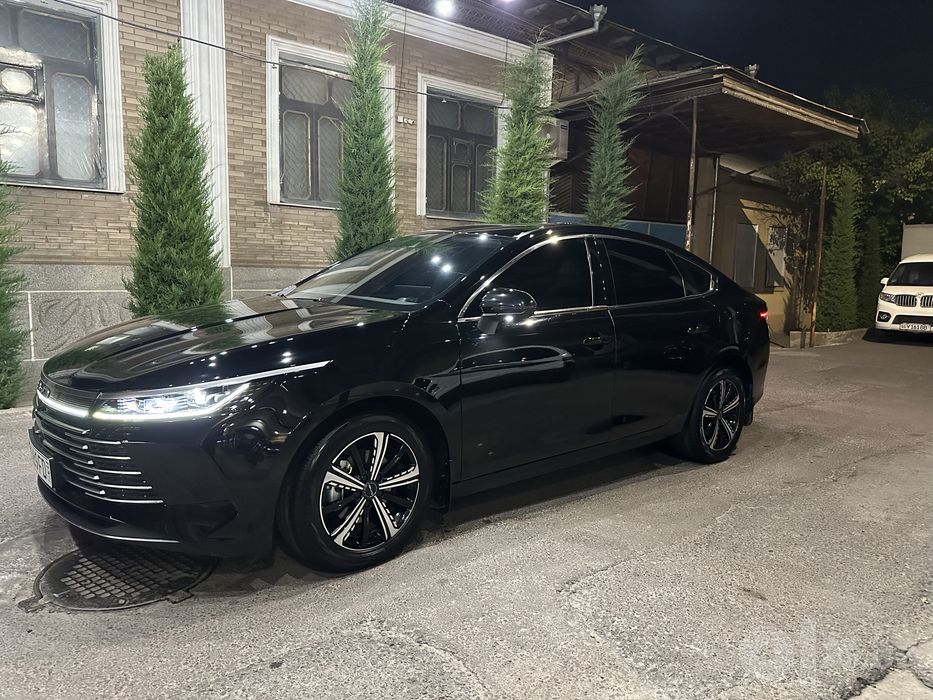BYD chazor. 2023 full. 120 talik