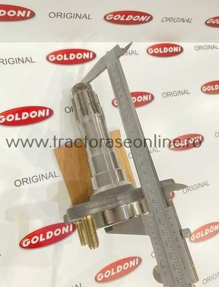 Planetara pentru Goldoni