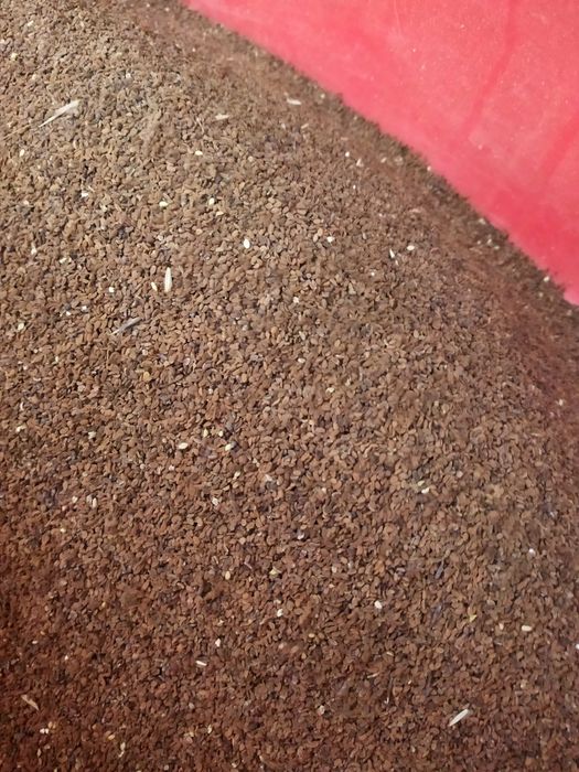 Planta  melifera pt albine