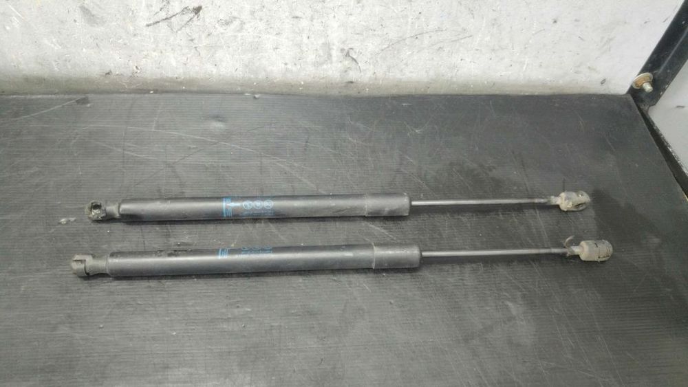 Set amortizoare telescoape haion opel meriva b s10 315005777