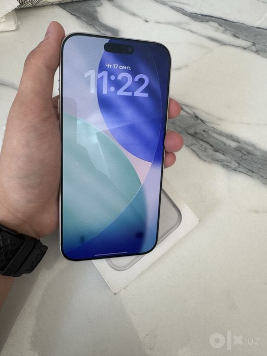17 Pro Max 256Gb Silver 100%