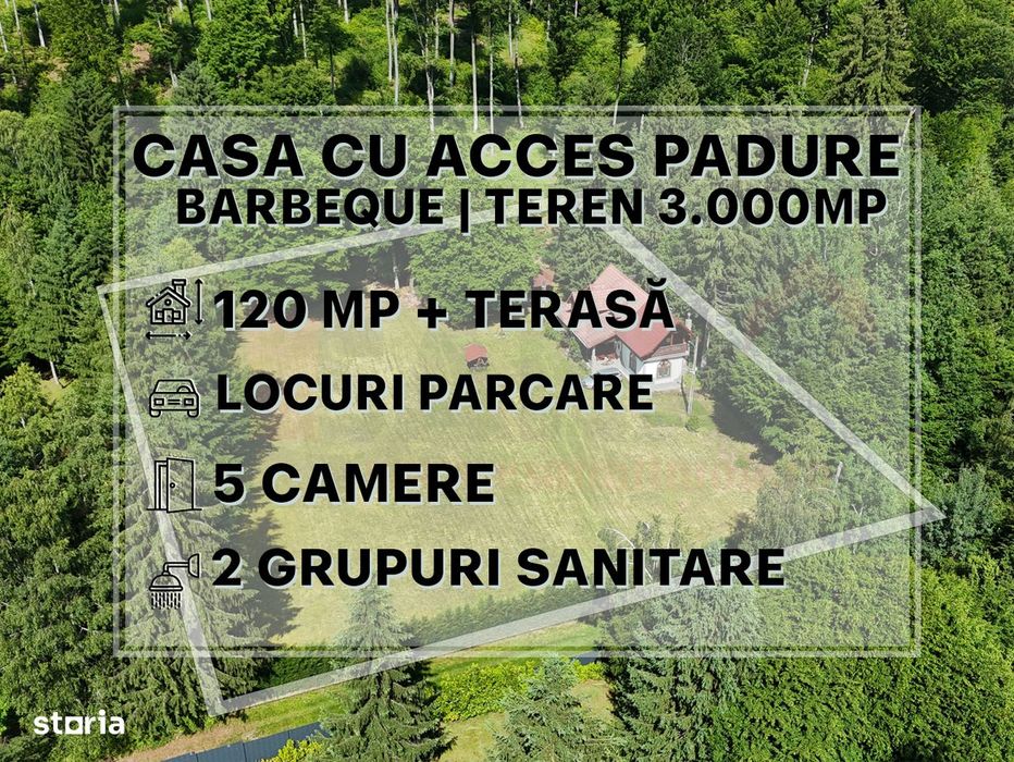 Proprietate Deosebita | Teren 3000 MP | Avrig | Acces Padure |VIDEO
