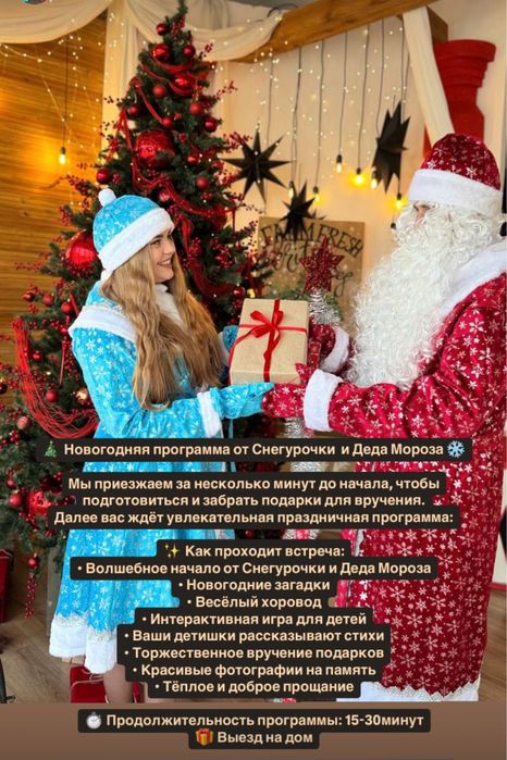 Дед Мороз и Снегурочка на дом