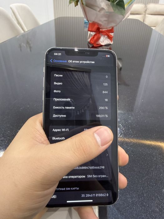 iPhone 11 pro max 256 Gb