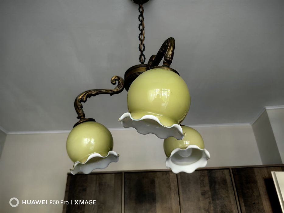 Полилей Перфектен