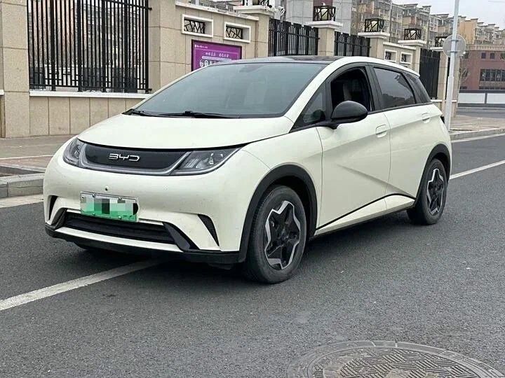 Нижняя часть бампера Byd dolphin