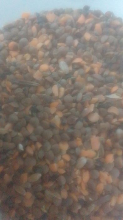 Зерноотходы Отходы Полова