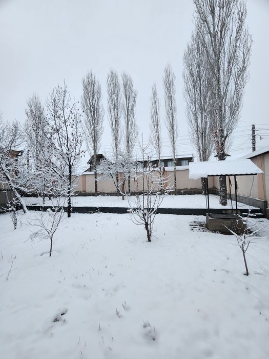 Yer sotiladi 7 sotokdan ortiq Angren markazidan