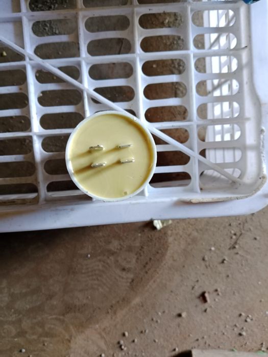 Продам промеж.реле,конденсатор,драйвер.