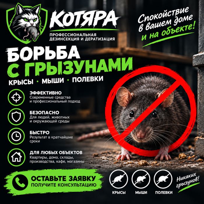 Дезинфекция мыши крысы