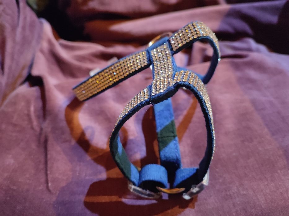 Елегантен нагръдник