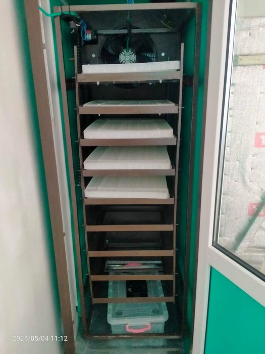 Инкубатор для яиц