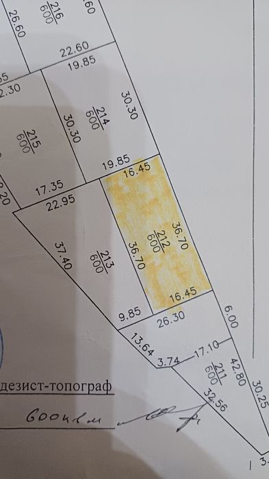 Dala hovli, дачный участок