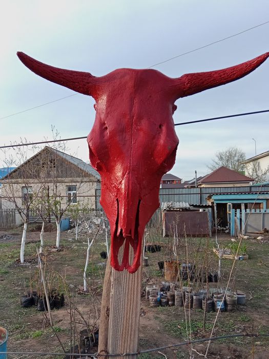 Голова Быка для декора сада