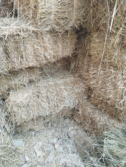 Сомон прес сотилади