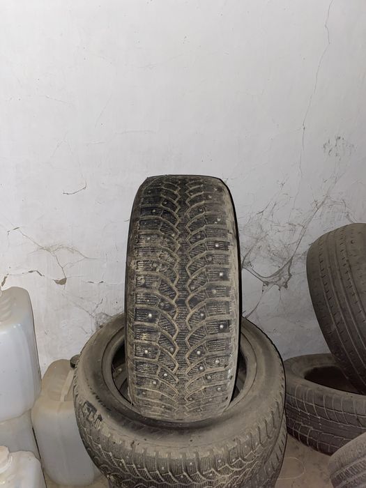 Балон жаксы шип пен жимной