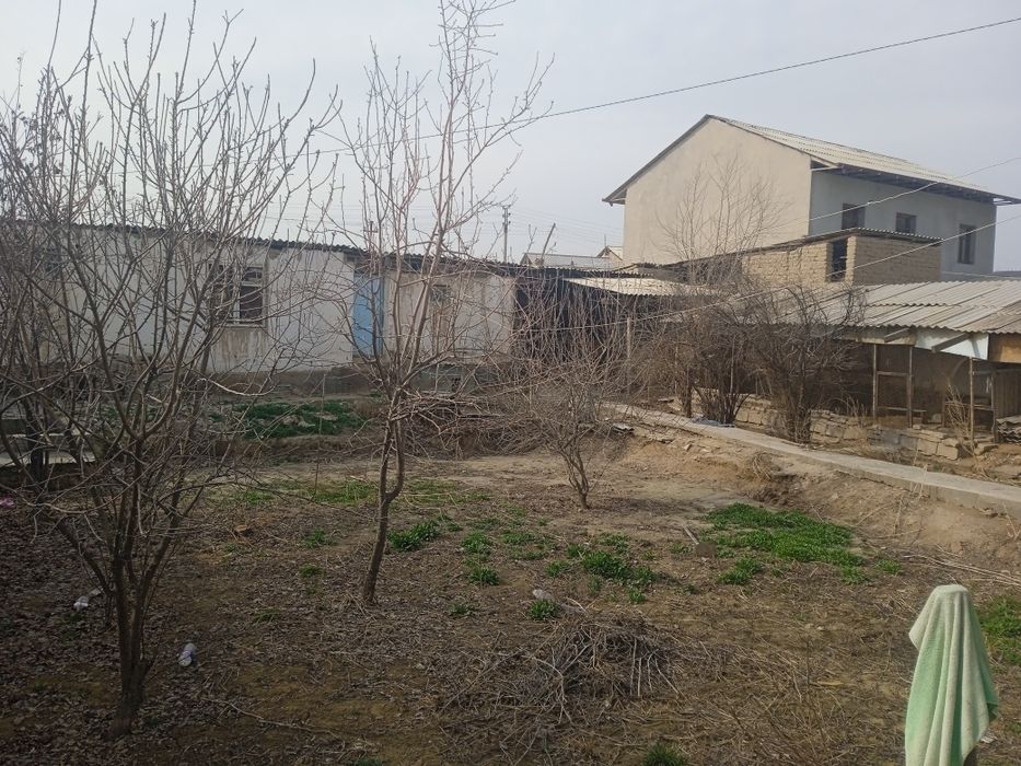 Нархини келишамиз Ховли 16 суток сотилади  Самарканд Вилояти Нарпай Ту