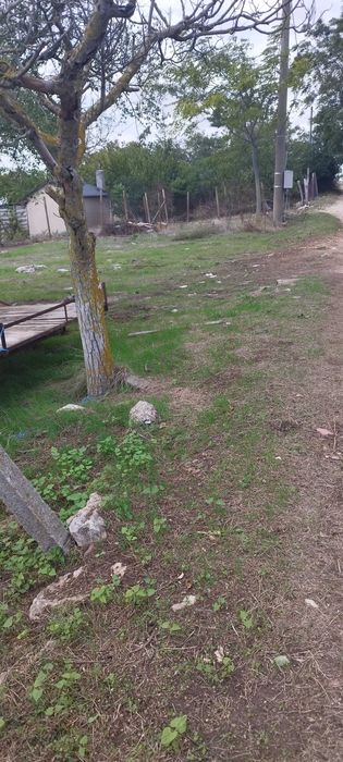 Продава се Парцел в Балчик - 1700 кв.м за 33 €/кв.м - Снимка #2