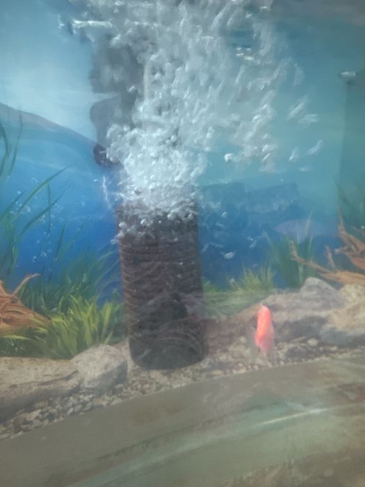 Аквариум  с рыбками