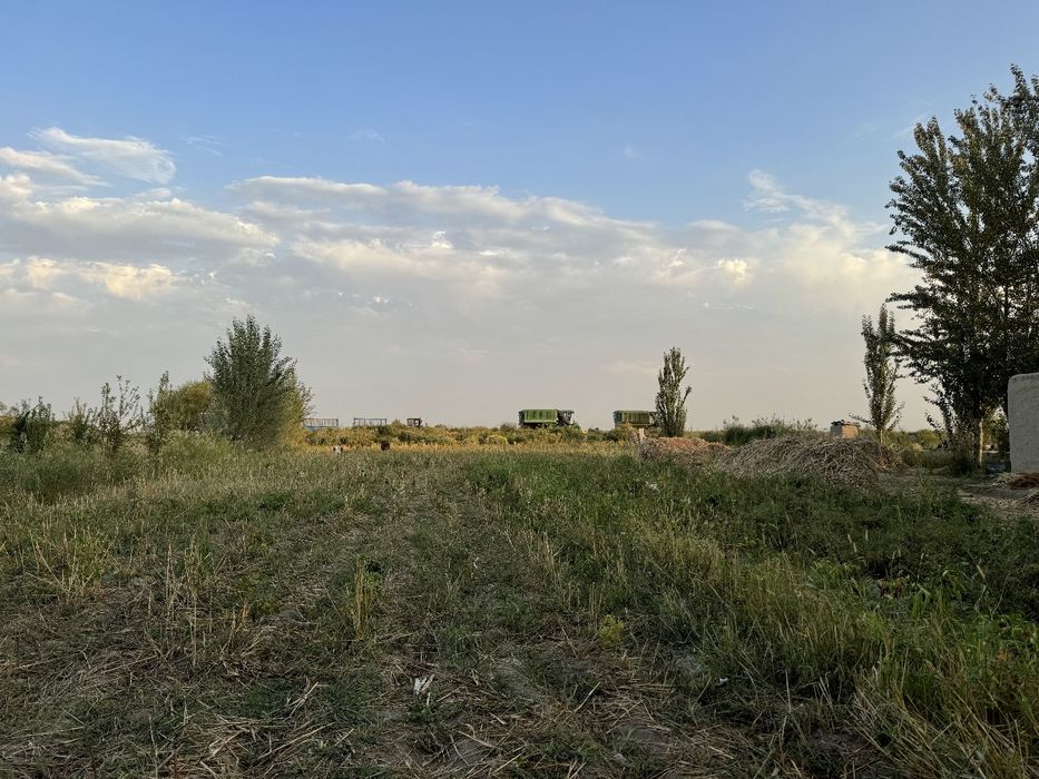 Сирдарьё Сардоба Участок 25 соток