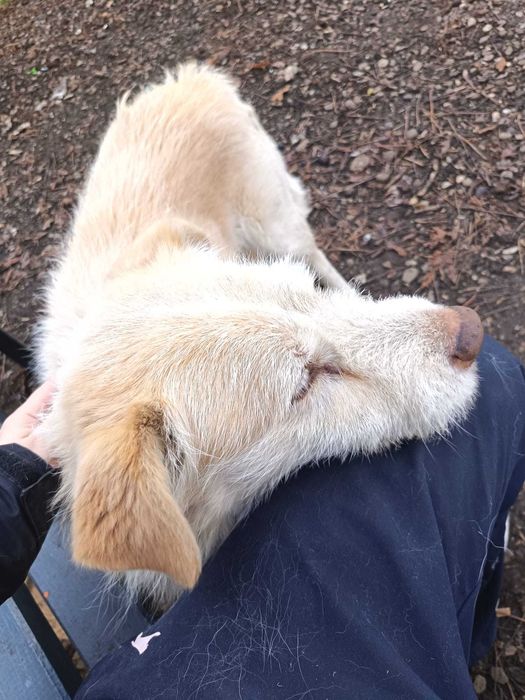 Cautam urgent camin iubitor