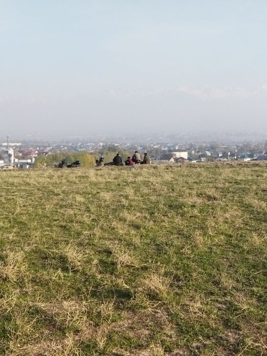 73,5 соток в Райымбеке (внутри БАКАДа)