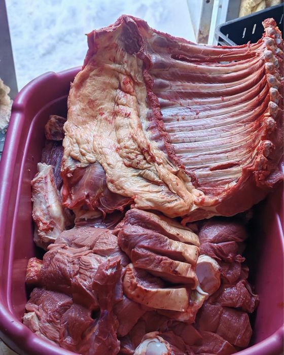 Мясо конины с фермы