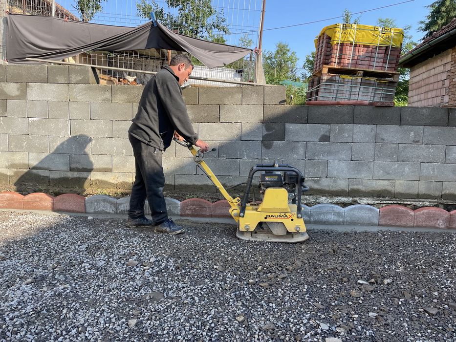 Taiere profesional a arborilor Brasov / copaci cu platforma de lucru