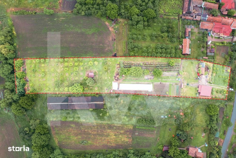 Domeniu de aproape 8.000 mp in inima Transilvaniei | Delenii, Judetul