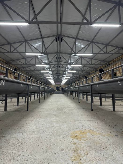 Продаётся ферма