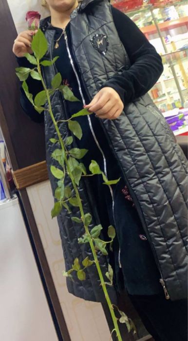 Bezrukavka Jaket sotiladi