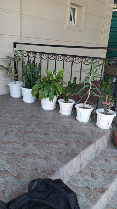 Продажа цветов..