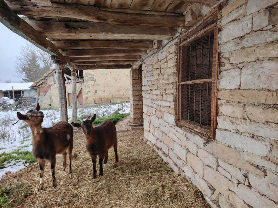 Къща с. Еленово, общ.Попово