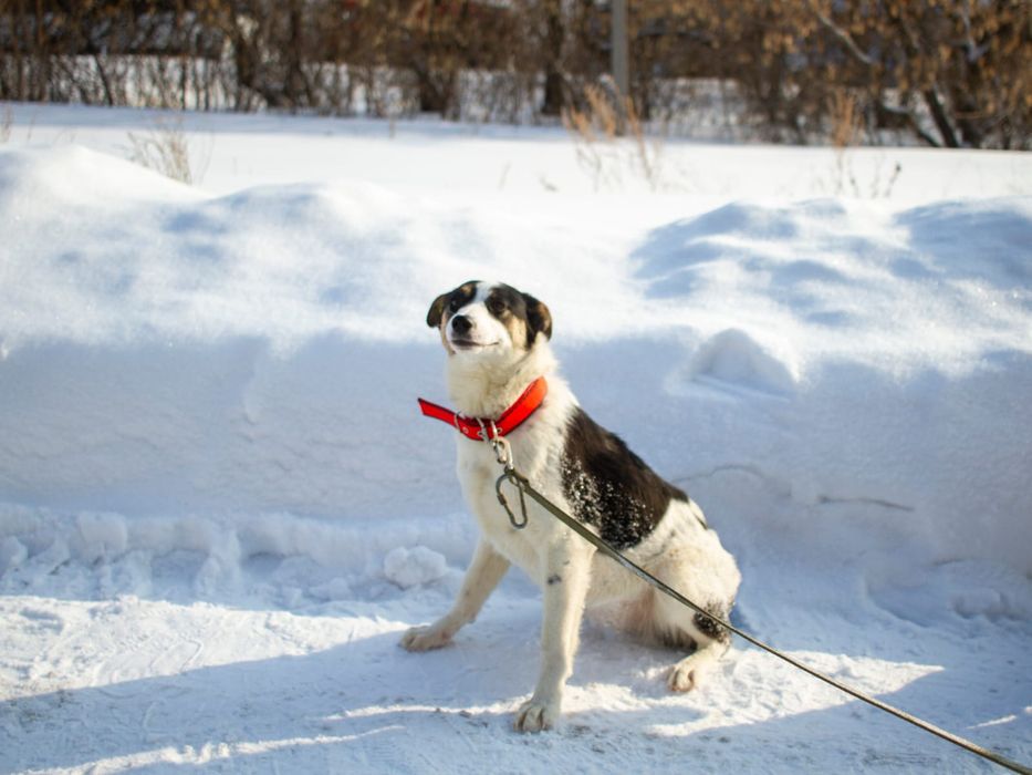 Забери меня домой