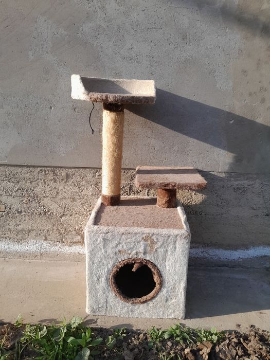 Продаётся дом для катов