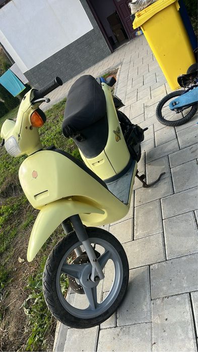 Vand piaggio free
