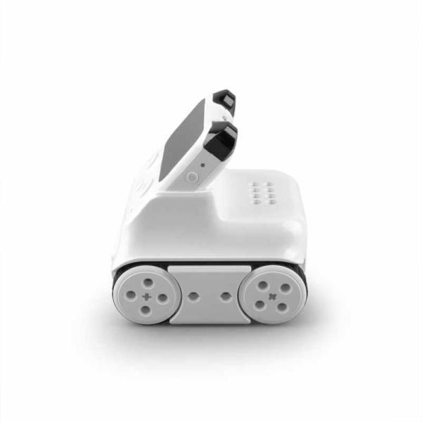 Роботы развивающие