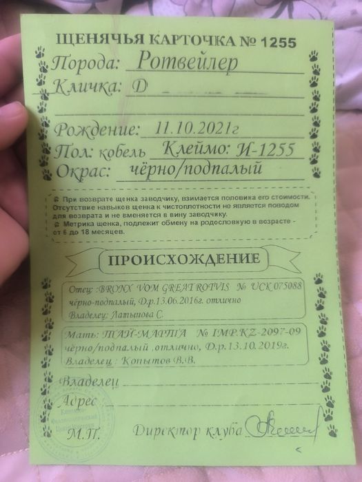 Кабель Ротвейлера вязка