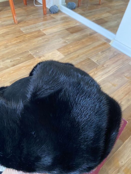 Норковая ушанка (бөрік)