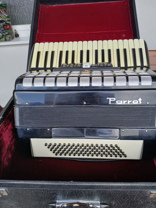 Acordeon Parrot, 80 bași
