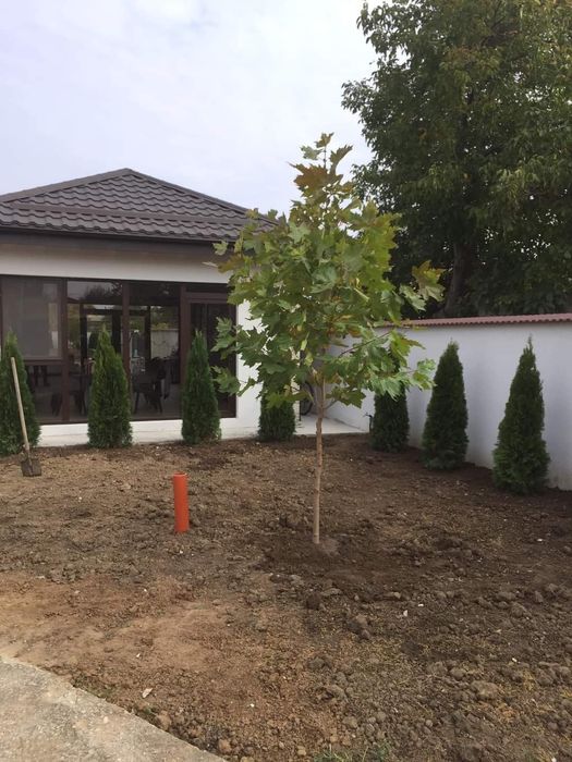 Amenajări curți grădini