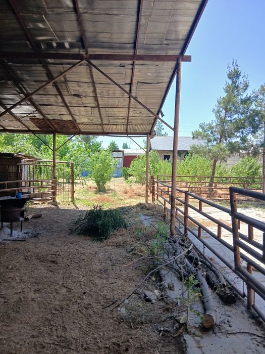 Земельный участок 11 соток Кибрай