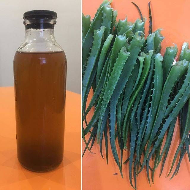 Настойка алоэ лечебная