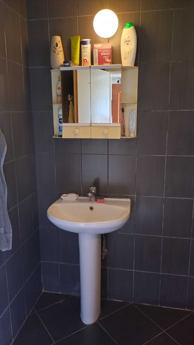 Дава се под наем Къща в с. Поляна, Област Силистра - 200 кв.м за 130000 € - Снимка #16