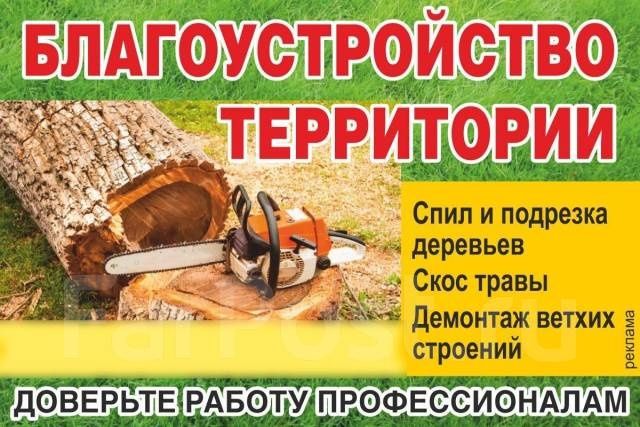 Скос травы , газон, спилим  деревья .