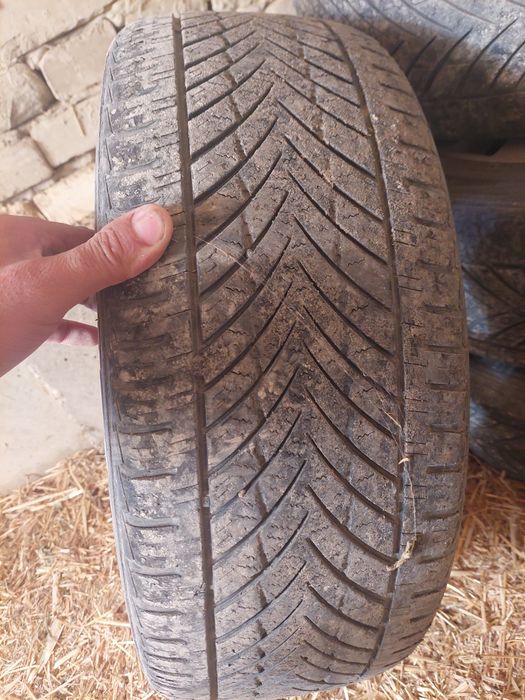 17 диска балони билан сотелади